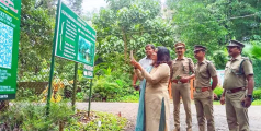 അറിഞ്ഞോ? വനംവകുപ്പിന്റെ ടൂറിസ്റ്റ് കേന്ദ്രങ്ങളിൽ ഇനി ഇ–ടിക്കറ്റ്‌  