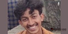 നാട്ടിലെത്തി നാലാം നാൾ വാഹനാപകടം; വയനാട് സ്വദേശിയായ പ്രവാസി മലയാളി യുവാവിന് ദാരുണാന്ത്യം