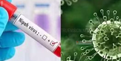 നിപ; സമ്പര്‍ക്ക പട്ടികയിലെ ഒരു കുട്ടിക്ക് കൂടി നിപ സ്ഥിരീകരിച്ചു