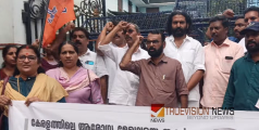 കേരളത്തിലെ ആരോഗ്യമേഖലയില്‍ നടക്കുന്നത് പകല്‍കൊള്ള -ബിജെപി