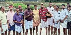 കൊല്ലക്കോട് പാടത്ത് നെൽകൃഷി തുടങ്ങി 