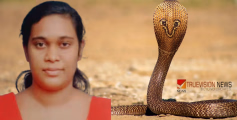 അരൂരിൽ പാമ്പുകടിയേറ്റ് ചികിത്സയിലായിരുന്ന യുവതി മരിച്ചു