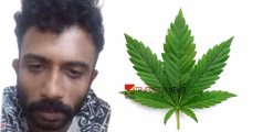 കോഴിക്കോട് വീടിൻ്റെ ടെറസിൽ കഞ്ചാവ് വളർത്തി യുവാവ്; പൊലീസ് എത്തിയതോടെ മുങ്ങി, പിന്നാലെ പിടിയിൽ