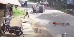 മലപ്പുറം മങ്കടയിൽ തെരുവുനായ കുറുകെ ചാടി ഓട്ടോറിക്ഷ മറിഞ്ഞു; ഡ്രൈവർക്ക് ദാരുണാന്ത്യം