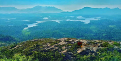 പൊന്നിൻ വസന്തം....! ആകാശം മുട്ടിനിൽക്കുന്ന പൊന്മുടിക്കോട്ടയിലേക്ക് യാത്ര തിരിച്ചാലോ?