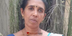 ഇരുമ്പ് തോട്ടി വൈദ്യുതി ലൈനിൽ തട്ടി: ഇടുക്കി അടിമാലിയിൽ ഷോക്കേറ്റ് വീട്ടമ്മയ്ക്ക് ദാരുണാന്ത്യം