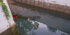 ദുരിതം അകറ്റണം; പൂവാടൻഗേറ്റ് അടിപ്പാതയിലെ വെള്ളക്കെട്ട്, കോൺഗ്രസ് സമരത്തിലേക്ക് 