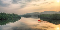 കായൽപ്പാതയിലൂടെ ഒരു മനോഹര ബോട്ട് യാത്ര; അവധി സമയം ആസ്വാദകരമാക്കാൻ ഈ സ്ഥലം ഒന്ന് നോക്കി വച്ചോളു..