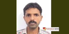 ചൊക്ലിയിലെ പോക്സോ കേസ് ; പെരിങ്ങത്തൂർ സ്വദേശിക്ക്  29 വർഷം  തടവും, 2.29 ലക്ഷം  പിഴയും