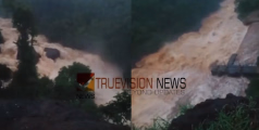 കോഴിക്കോട് ജില്ലയിൽ കനത്ത മഴ; കടന്ത്രപ്പുഴ കരകവിഞ്ഞൊഴുകി, ഇല്ലിക്കല്‍ കോളനിയിലെ 16 കുടുംബങ്ങളെ ക്യാമ്പിലേക്ക് മാറ്റി