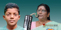 'സഹപാഠികള്‍ വിലക്കിയിട്ടും വലിഞ്ഞുകയറി'; ഷോക്കേറ്റ് വിദ്യാർത്ഥിയുടെ മരണം: വിചിത്രവാദവുമായി മന്ത്രി ചിഞ്ചുറാണി