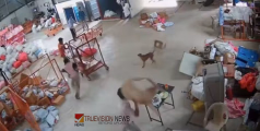 ജാഗ്രതാ നിർദ്ദേശം.....കോഴിക്കോട് പന്തീരാങ്കാവിൽ ഇന്നലെ മൂന്നു പേരെ കടിച്ച തെരുവുനായ്ക്ക് പേവിഷബാധ