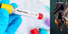 ജാഗ്രത പാലിക്കണം;  29 പേര്‍ നിപ ഹൈയസ്റ്റ് റിസ്‌ക് പട്ടികയിൽ, കോഴിക്കോട് തൊണ്ണൂറ്റി ആറ് പേർ സമ്പർക്കപ്പട്ടികയിൽ 