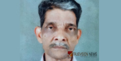 മരുതേരി കുഞ്ഞപ്പനായർ അന്തരിച്ചു