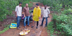 തളിപ്പറമ്പിൽ  ചന്ദനം മോഷ്ടിച്ചയാൾ പിടിയിൽ