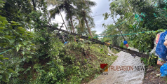പുളിയാവിൽ ഇന്ന് വീശിയ  കാറ്റിൽ കനത്ത നാശം; വീടുകളും വൈദ്യുത ബന്ധവും തകർന്നു