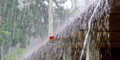 ജാഗ്രത വേണം; തകർത്തു പെയ്യുന്നു... സംസ്ഥാനത്തെ എല്ലാ ജില്ലകളിലും ഇന്ന് കനത്ത മഴ മുന്നറിയിപ്പ്