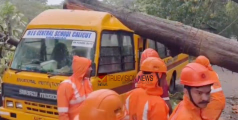 കോഴിക്കോട് ശക്തമായ കാറ്റില്‍ ഭീമന്‍ തേക്ക് സ്കൂൾ ബസിന് മുകളിൽ കടപുഴകി വീണ് അപകടം, വലിയ ദുരന്തം ഒഴിവായത് തലനാരിഴക്ക്