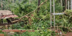 കണ്ണൂർ ചെറുപുഴയിൽ കാറ്റിലും മഴയിലും കനത്ത നാശം