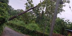  ശക്തമായ മഴ :ധർമ്മശാല ഇലക്ട്രിക്കൽ സെക്ഷന്റെ പരിധിയിൽ മാത്രമായി പതിനഞ്ച് ലക്ഷത്തിന്റെ നാശ നഷ്ട്ടം 