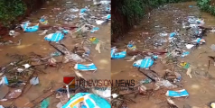 മനഃസാക്ഷിയില്ലേ ...! ആയഞ്ചേരി നടപ്പാതയിൽ ലോറിയിൽ മാലിന്യങ്ങൾ കൊണ്ട് തള്ളിയതായി പരാതി
