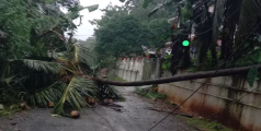 കനത്ത കാറ്റ്:  മലയോരത്ത് വ്യാപക നാശനഷ്ടങ്ങൾ