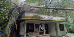 വിലങ്ങാടും വളയത്തും മിന്നൽ ചുഴലി; വ്യാപക നാശനഷ്ടം മരങ്ങൾ കടപുഴകി, വൈദ്യുതി വിതരണം നിലച്ചു