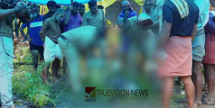 വീണ്ടും ഷോക്കേറ്റ് മരണം, പാലക്കാട് പൊട്ടിവീണ വൈദ്യുത ലൈനിൽ നിന്ന് ഷോക്കേറ്റ് ഒരാള്‍ മരിച്ചു