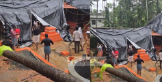 കനത്ത മഴയും കാറ്റും ; പാനൂരിനടുത്ത് ക്ഷേത്രത്തിന് മുകളിൽ തെങ്ങ് വീണ് നാശനഷ്ടം