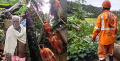 കനത്ത മഴയിലും കാറ്റിലും മാനന്തവാടി മേഖലയിൽവ്യാപക നാശനഷ്ടങ്ങള്‍