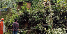 ശക്തമായ കാറ്റില്‍ പലയിടങ്ങളിലും മരം വീണ് ഗതാഗതം തടസ്സപ്പെട്ടു