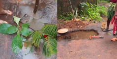 ജലചോർച്ച തടഞ്ഞു; ട്രൂവിഷൻ വാർത്ത ജല അതോറിറ്റി അധികൃതരെ ഉണർത്തി