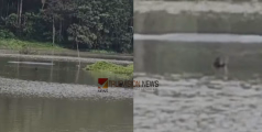 വയനാട് പടിഞ്ഞാറത്തറയില്‍ തോണി മറിഞ്ഞ് അപകടം; ഒരാൾ മരിച്ചു, ഒരു കുട്ടി ഉള്‍പ്പെടെ നാലുപേരെ രക്ഷപ്പെടുത്തി 