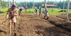 മികവ് തെളിയിച്ച കർഷകരെ തിരഞ്ഞെടുത്ത് ആദരിക്കുന്നതിനായി അർഹരായ കർഷകരിൽ നിന്നും അപേക്ഷകൾ ക്ഷണിക്കുന്നു