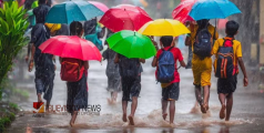 ശ്രദ്ധിക്കുക, നാളെ അവധി രണ്ട് ഗ്രാമപഞ്ചാത്തുകളിൽ മാത്രം; സ്കൂളുകൾക്കും അംഗനവാടികൾക്കും ബാധകമെന്ന് ആലപ്പുഴ കളക്ടർ