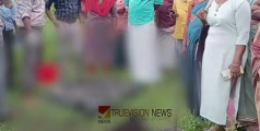 ചേർത്തലയിൽ കണ്ടെത്തിയ അസ്ഥികൂട അവശിഷ്ടങ്ങൾ മനുഷ്യന്റേത് തന്നെ; ഡിഎൻഎ പരിശോധനയ്ക്ക് കുടുംബം സാമ്പിൾ നൽകും