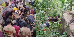 കുട്ടിയാന കൂട്ടിൽ; കാവിലുംപാറയിൽ ജനവാസമേഖലയിൽ ഇറങ്ങിയ കുട്ടിയാനയെ മയക്കുവെടിവെച്ചു