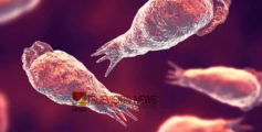 സംസ്ഥാനത്ത് അമീബിക് മസ്തിഷ്കജ്വരം: കൊല്ലം സ്വദേശിയായ വയോധികൻ മരിച്ചു