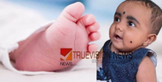 അങ്കമാലിയിൽ 6 മാസം പ്രായമായ കുഞ്ഞ് കഴുത്തറുത്ത് കൊല്ലപ്പെട്ട നിലയിൽ ; അമ്മൂമ്മ ഗുരുതരാവസ്ഥയിൽ