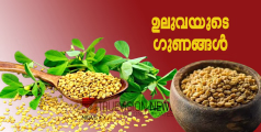 സൈഡിലേക്ക് മാറ്റിവെക്കാൻ വരട്ടെ...; 'ഉലുവ'യുടെ ഞെട്ടിക്കുന്ന ഗുണങ്ങൾ ഒന്ന് അറിഞ്ഞോളൂ ....