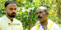 മകന്റെ രാഷ്ട്രീയം ബുദ്ധിമുട്ടയായോ ...? വയനാട്ടിൽ മകൻ എൽഡിഎഫ് സ്ഥാനാർത്ഥിയായി പിന്നാലെ അച്ഛനെ ഐഎൻടിയുസി തൊഴിൽ ചെയ്യുന്നതിൽ നിന്ന് വിലക്കി, പരാതി