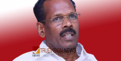 'തദ്ദേശ തെരഞ്ഞെടുപ്പിന് എൽഡിഎഫ് തയ്യാറാർ' - ടി.പി രാമകൃഷ്ണൻ
