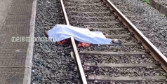 ഭാര്യയേയും മകനേയും യാത്രയാക്കാനെത്തി; ല​ഗേജ് കയറ്റിയ ശേഷം അതേ ട്രെയിനിനടിയിലേക്ക് യുവാവ് വീണു, ദാരുണാന്ത്യം