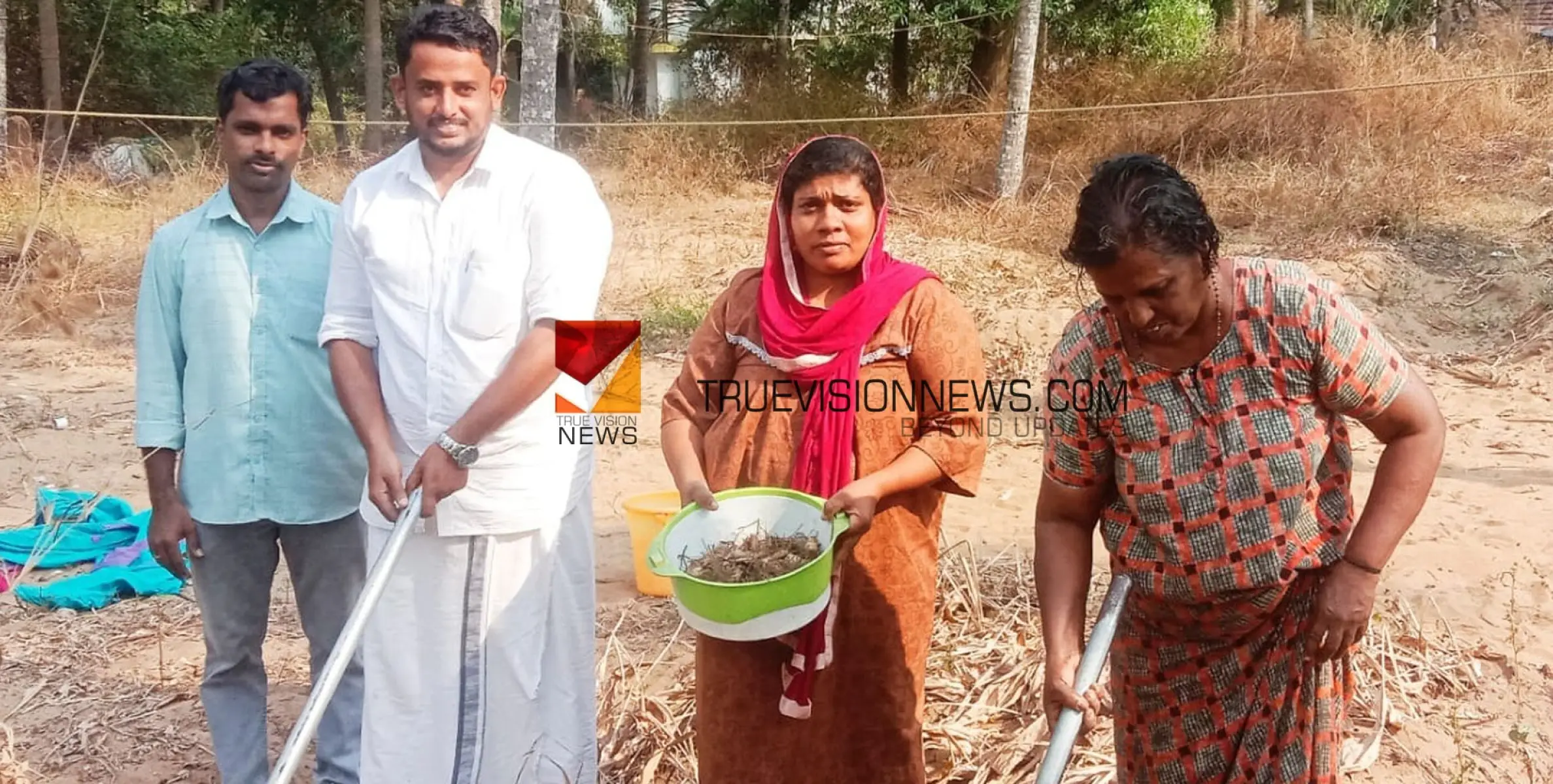 ഞങ്ങളും കൃഷിയിലേക്ക്; അഴിയൂരിൽ മഞ്ഞൾ വിളവെടുപ്പ് നടത്തി 