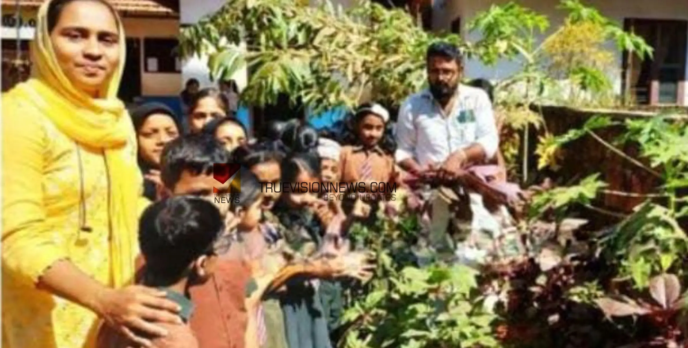 ഗ്രോ ബാഗ് പദ്ധതി; ഉച്ചഭക്ഷണത്തിനായി ചീര വിളവെടുത്തു 