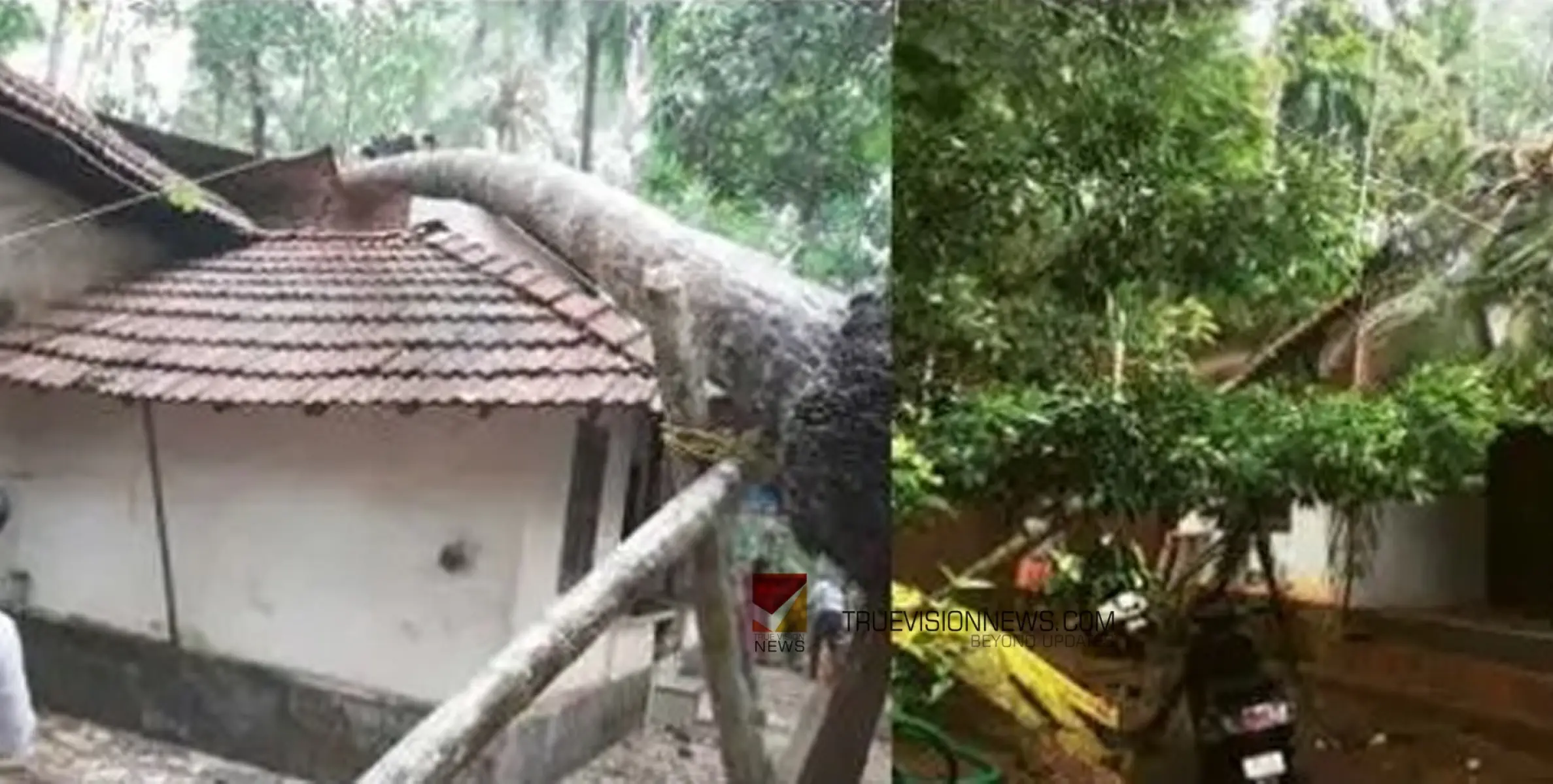 വീടുകൾ തകർന്നു; . വേളത്ത് കാറ്റിലും മഴയിലും എട്ട് വീടുകൾ തകർന്നു