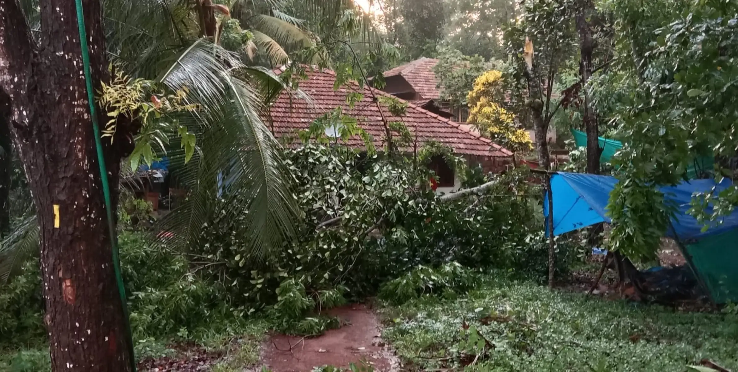  കനത്ത കാറ്റിലും മഴയിലും തില്ലങ്കേരിയിൽ വൻ നാശനഷ്ട്ടം 