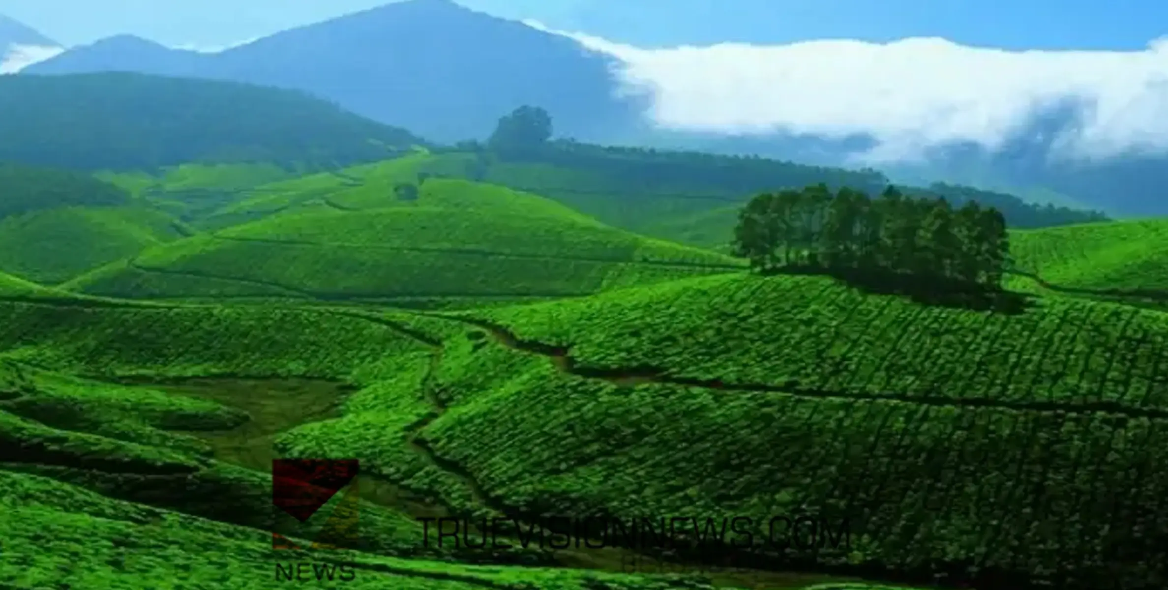 #wayanad | വയനാട്ടിൽ മലയോര മേഖലകളിൽ ട്രക്കിങ് നിരോധിച്ചതായി അധികൃതർ