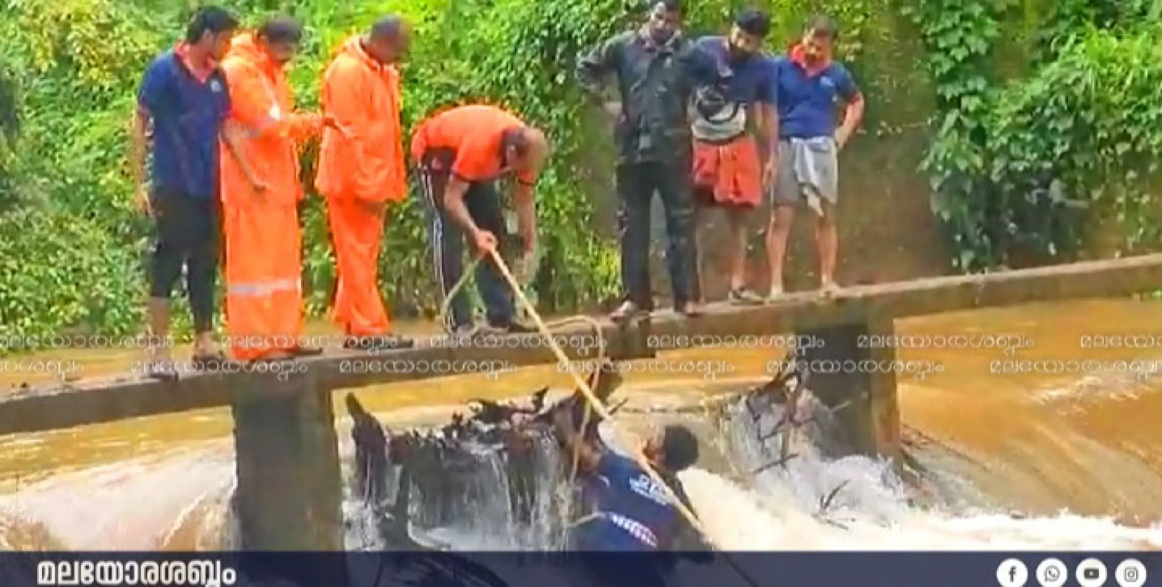 നടപ്പാലത്തിൽ കഴിഞ്ഞ ദിവസങ്ങളിൽ പെയ്ത മഴയിൽ വന്ന് അടിഞ്ഞ മരങ്ങൾ നീക്കം ചെയ്തു.