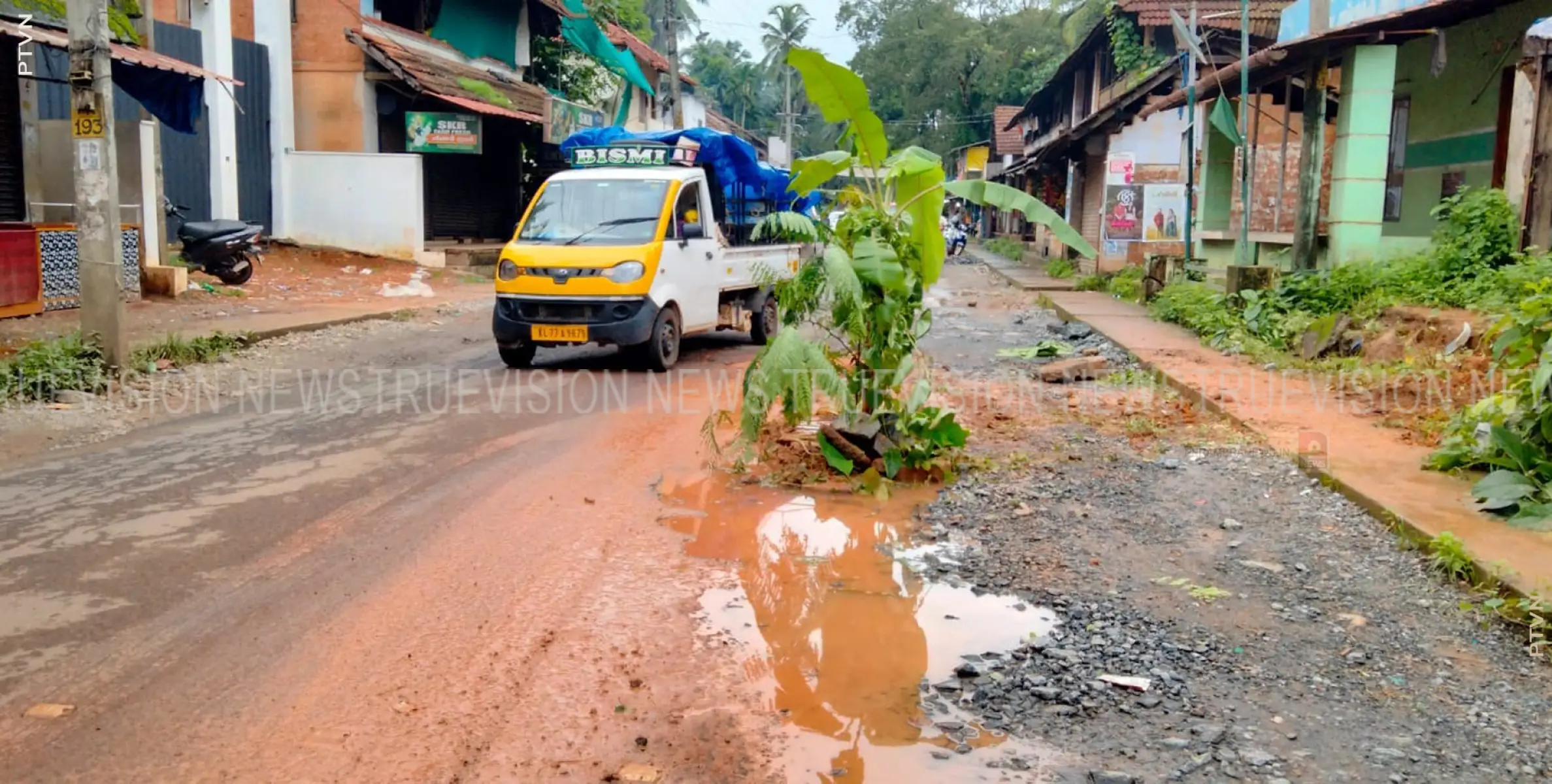 #Road | റോഡിലെ ചെളിക്കുളത്തില്‍ വാഴ നട്ട് പ്രതിഷേധം 